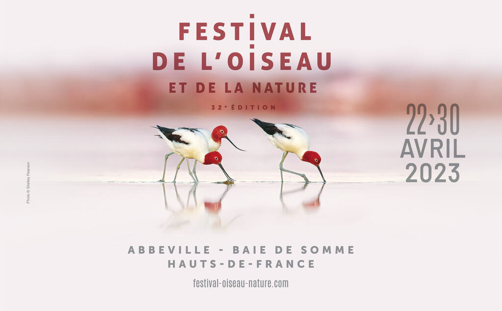 img-dri-festival-oiseau-nature-2023