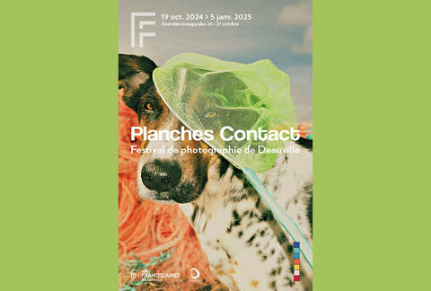 img-dci-planches-contact-2024