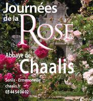 Journee de la rose