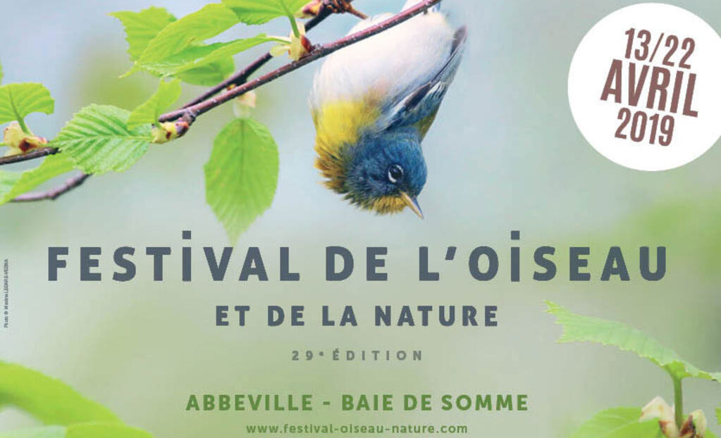 img-festival-oiseau-nature